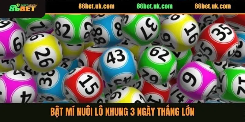 Dàn Lô Xiên 3 - Bật Mí Kinh Nghiệm Chốt Số Chắc Thắng 4 Bật mí nuôi lô khung 3 ngày thắng lớn