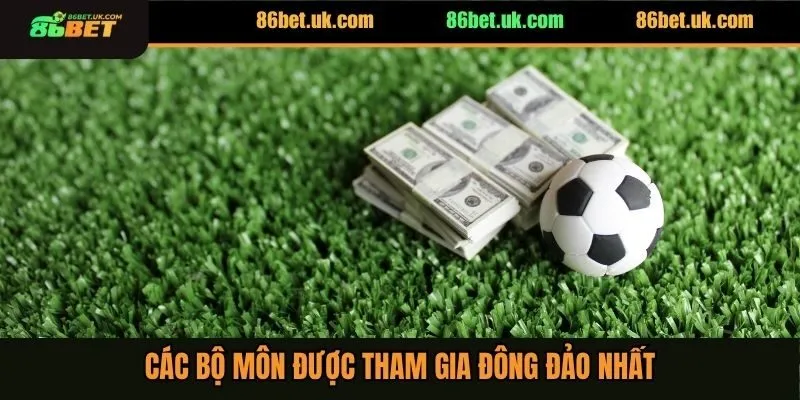 Thể Thao 86BET 3 Các bộ môn được tham gia đông đảo nhất