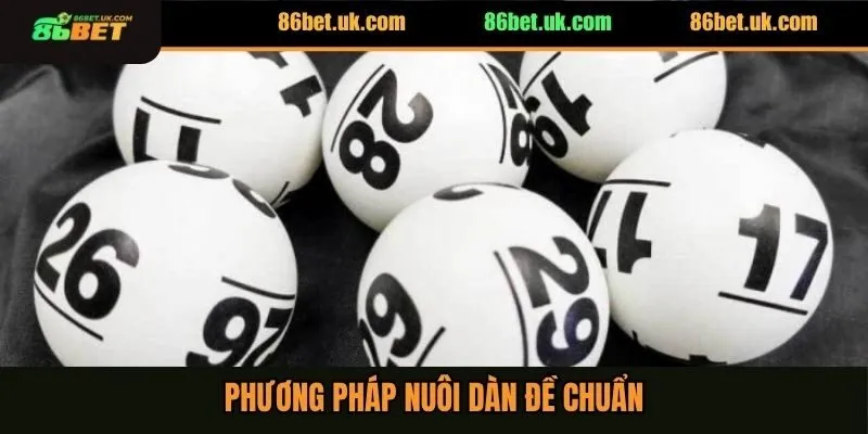 Dàn Đề 36 Số Rồng Bạch Kim Bất Bại Dành Cho Người Mới 4 Phương pháp nuôi dàn đề chuẩn