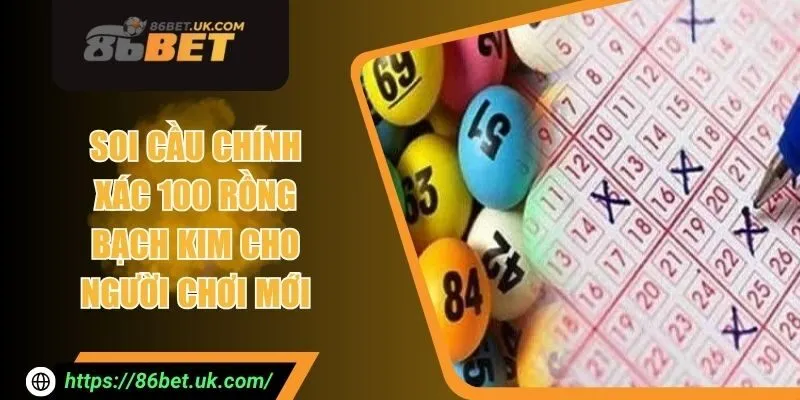 Soi Cầu Chính Xác 100 Rồng Bạch Kim Cho Người Chơi Mới 1 Soi Cầu Chính Xác 100 Rồng Bạch Kim Cho Người Chơi Mới