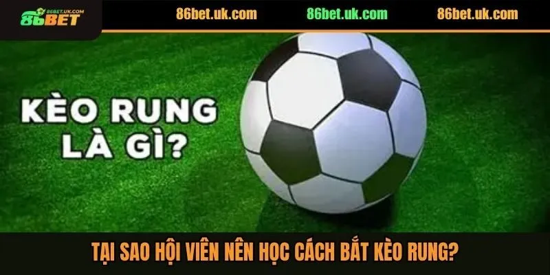 Cách Bắt Kèo Rung Hiệu Quả Chắc Thắng Cho Người Mới 2 Tại sao hội viên nên học cách bắt kèo rung?
